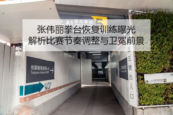 张伟丽拳台恢复训练曝光 解析比赛节奏调整与卫冕前景